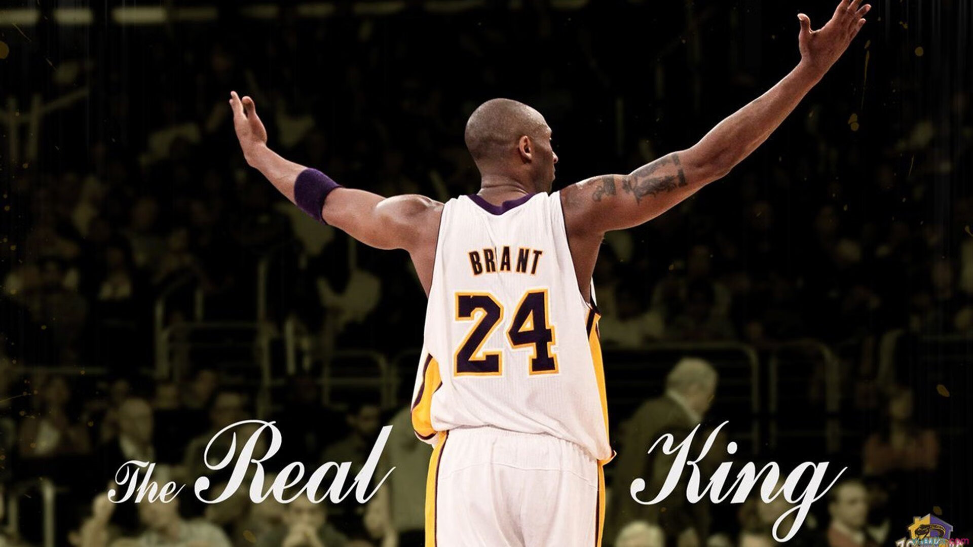 “马科斯·莫奇的战术安排与防守反应，成就美洲狮队的防守核心”